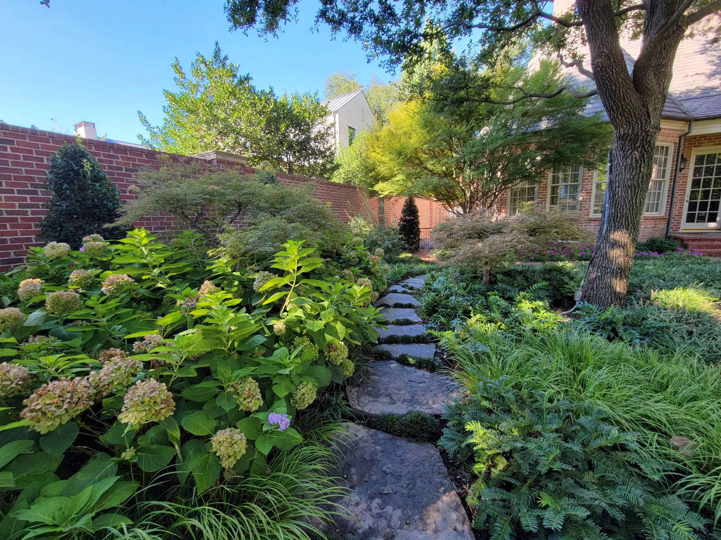 Landscape Design Alvarado